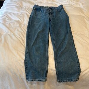 Everlane Organic Cotton Way High Jean